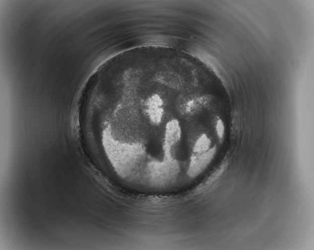 X0000093530923200711091755
