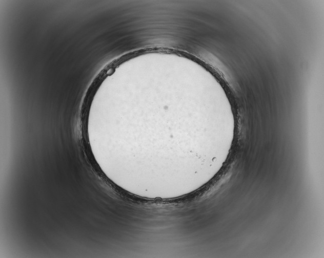 X0000093530924200711091755