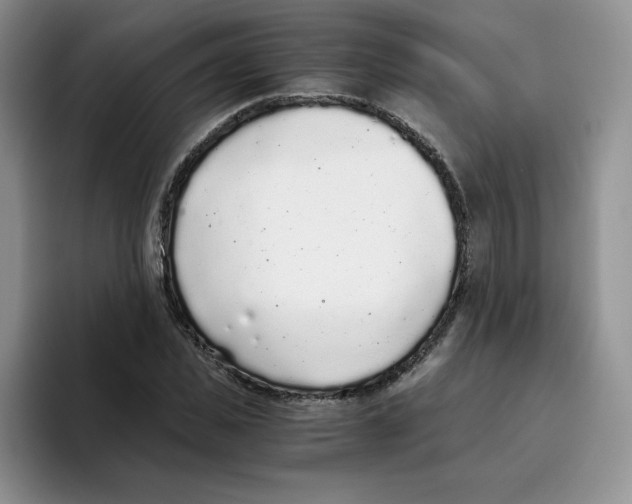 X0000093530925200711091755