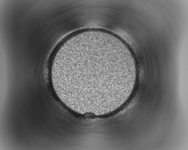 X0000093530926200711091755
