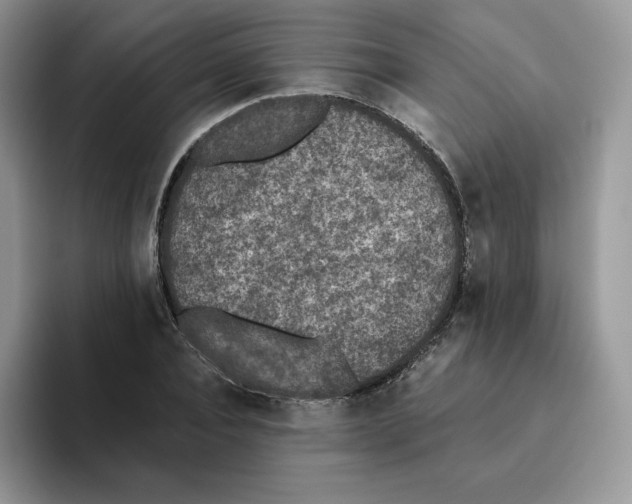 X0000093530928200711091755