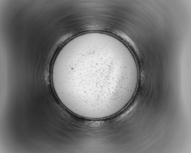 X0000093530930200711091755