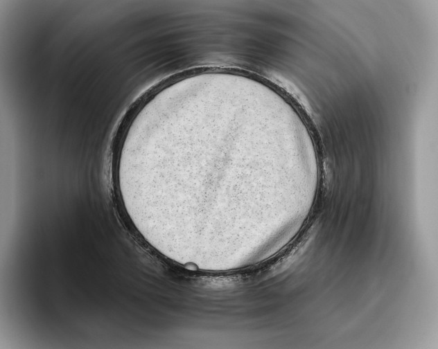 X0000093530931200711091755