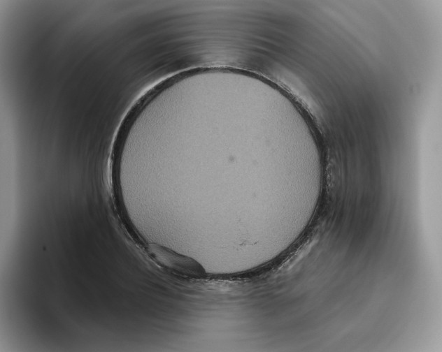 X0000093530932200711091755