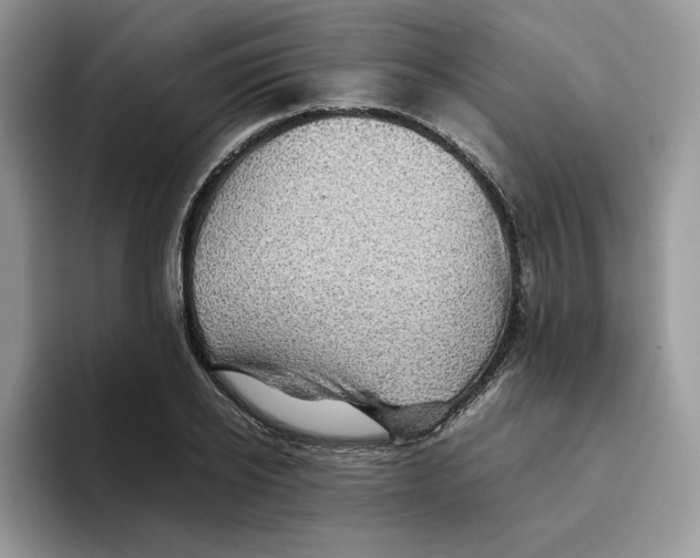 X0000093530934200711091755