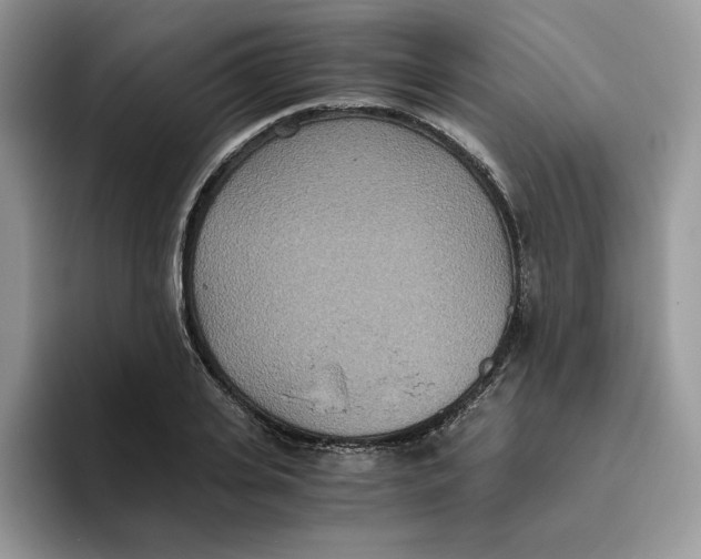 X0000093530935200711091755