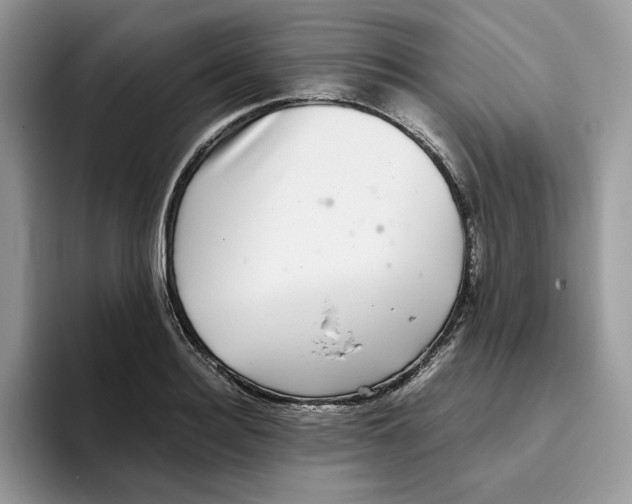 X0000093530940200711091755