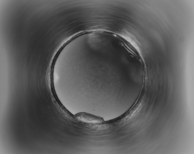 X0000093530941200711091755