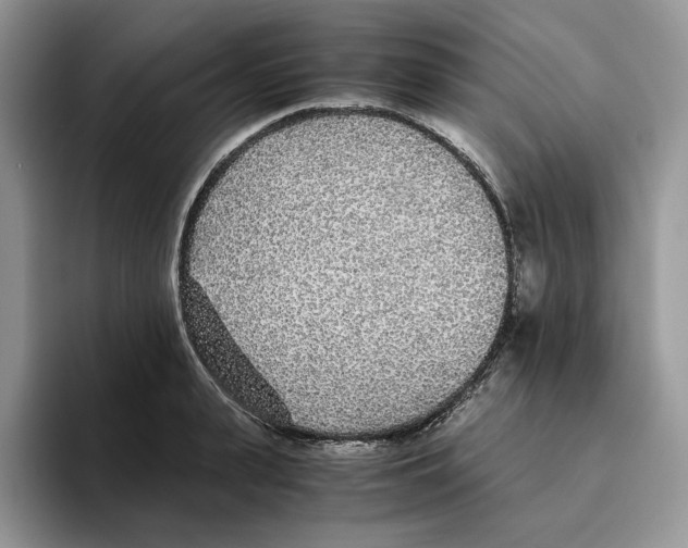 X0000093530943200711091755