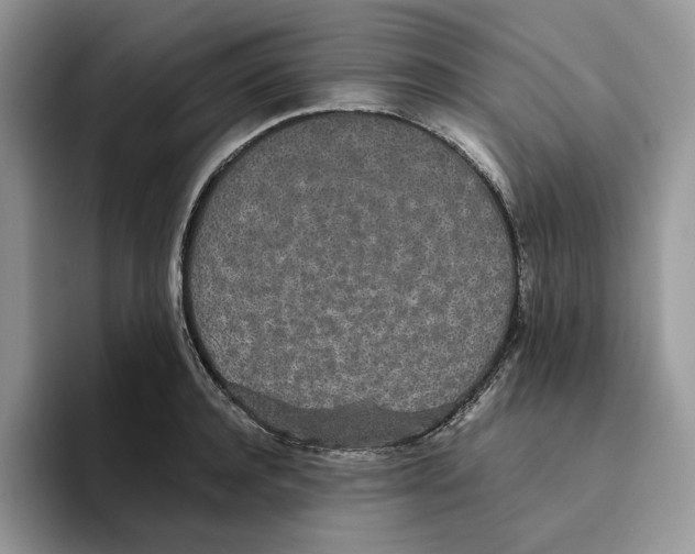 X0000093530944200711091755