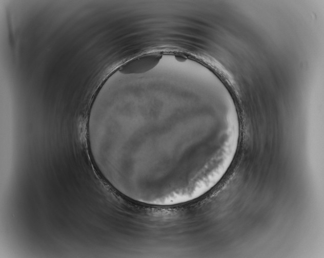 X0000093530945200711091755