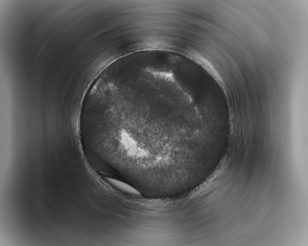 X0000093530946200711091755
