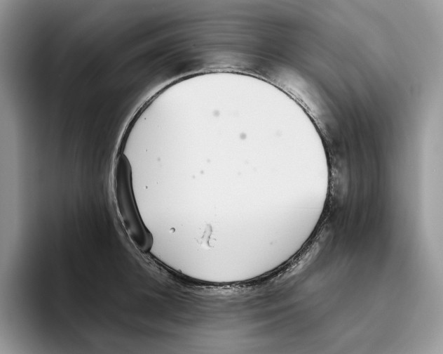 X0000093530948200711091755