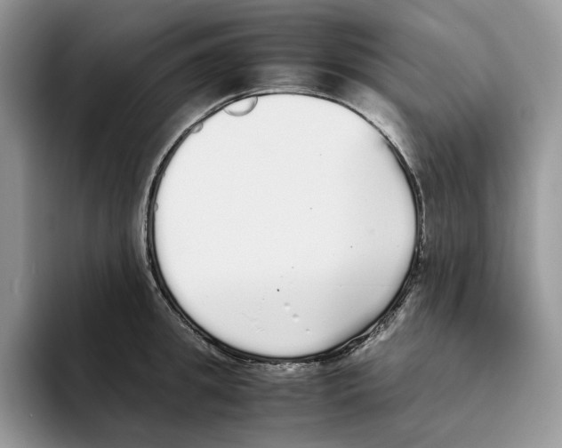 X0000093530949200711091755