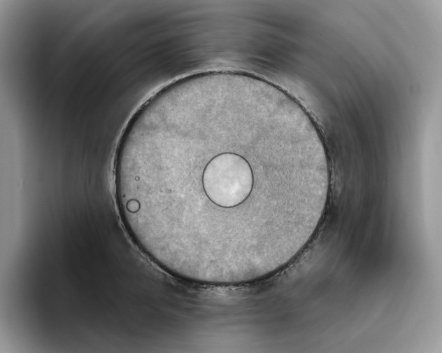 X0000093530950200711091755