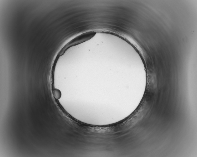 X0000093530951200711091755