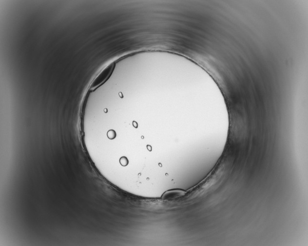 X0000093530956200711091755