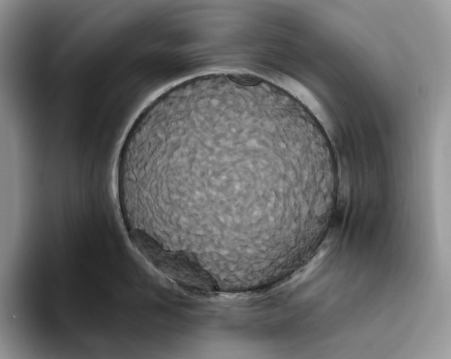 X0000093530958200711091755