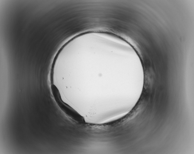 X0000093530959200711091755