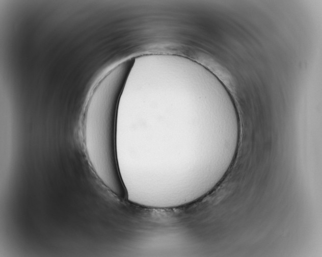 X0000093530960200711091755