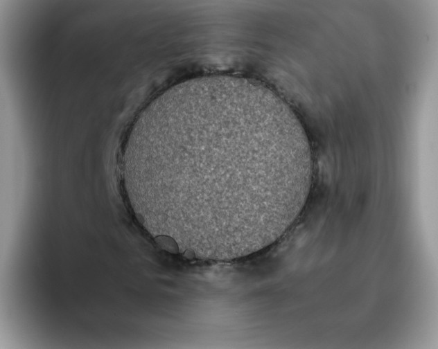 X0000093530961200711091755