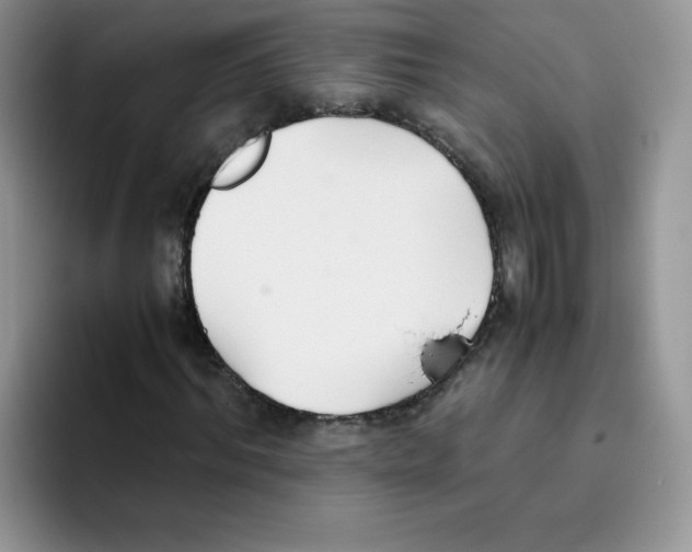 X0000093530964200711091755