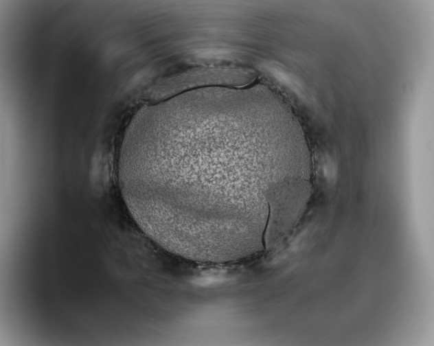 X0000093530965200711091755