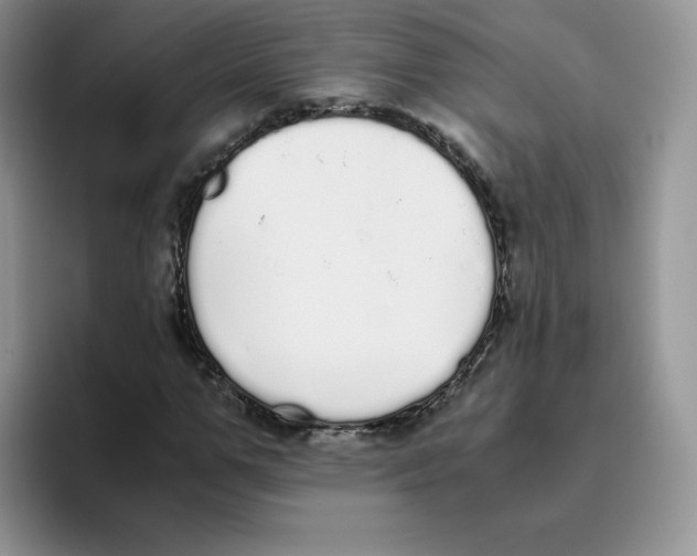 X0000093530967200711091755