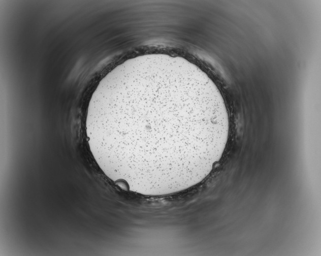 X0000093530968200711091755