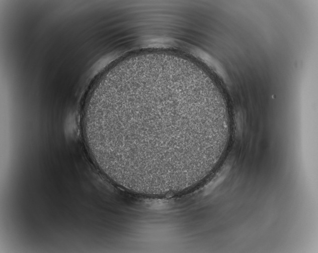X0000093530970200711091755