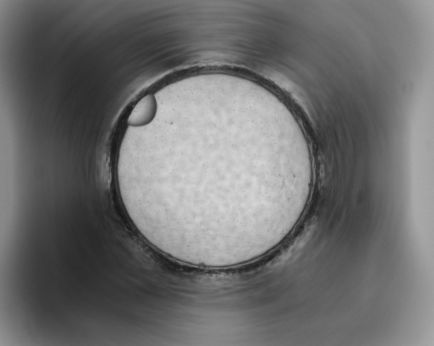 X0000093530973200711091755