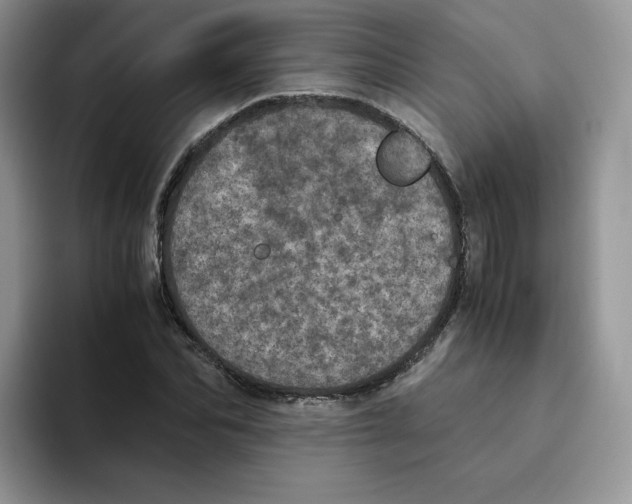 X0000093530974200711091755