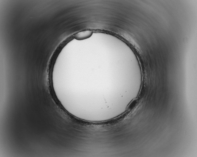 X0000093530976200711091755