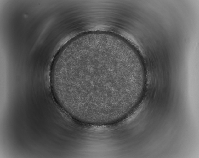 X0000093530978200711091755