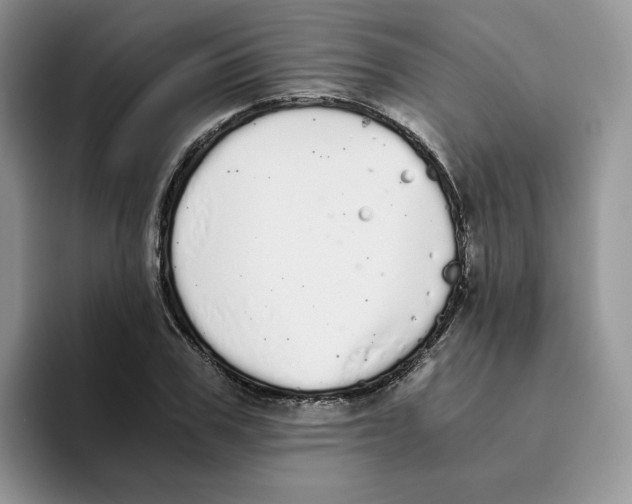 X0000093530979200711091755