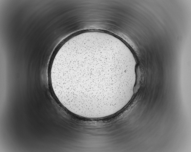 X0000093530980200711091755