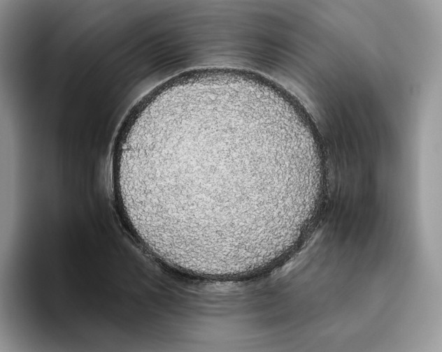 X0000093530982200711091755