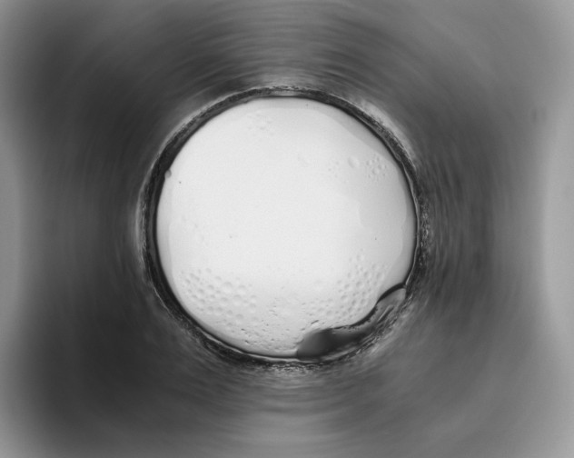 X0000093530983200711091755