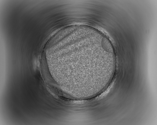 X0000093530985200711091754
