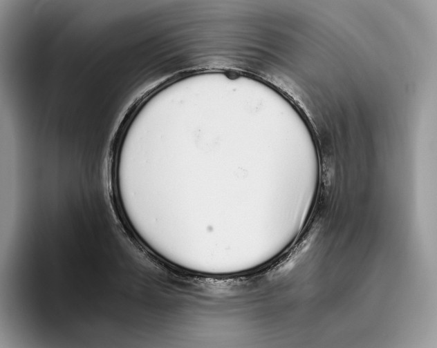 X0000093530987200711091754