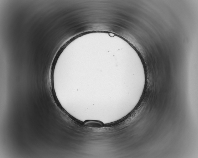 X0000093530988200711091754