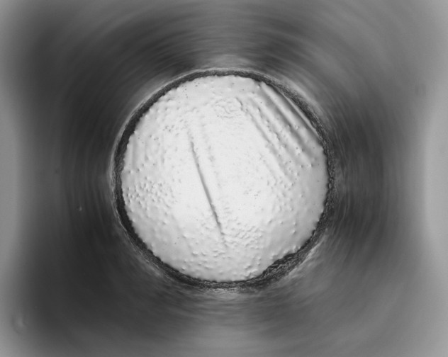 X0000093530990200711091754