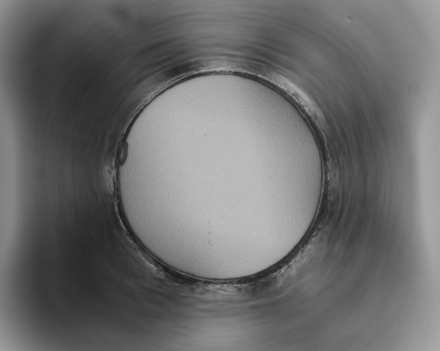 X0000093530993200711091754