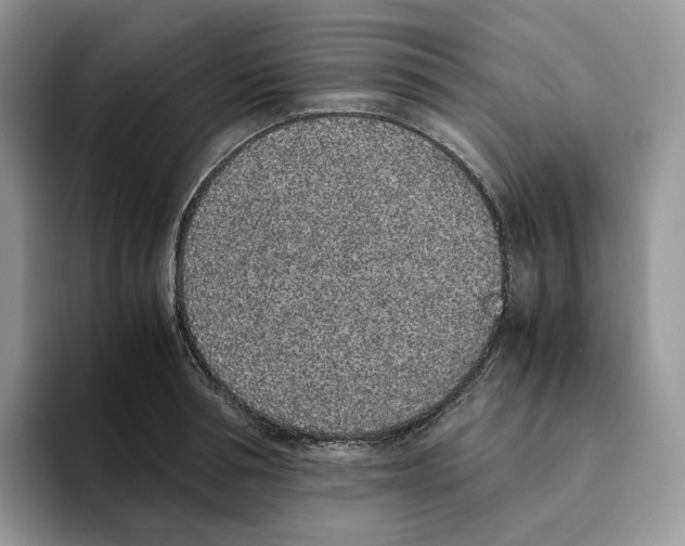 X0000093530994200711091754