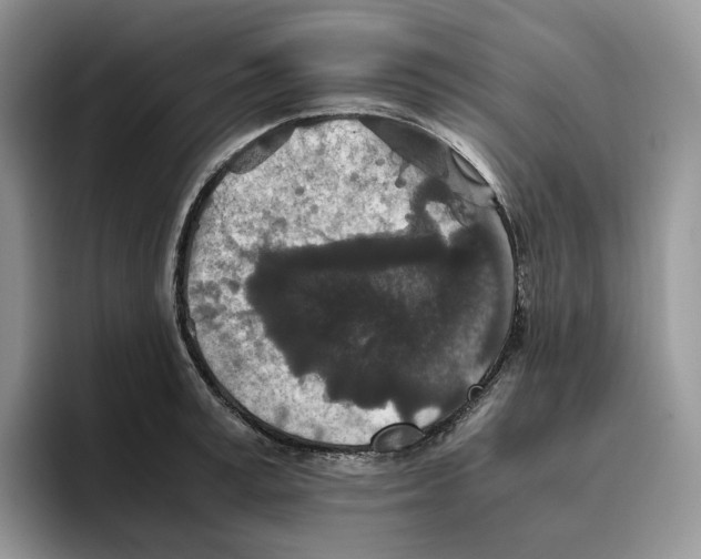 X0000093530995200711091754