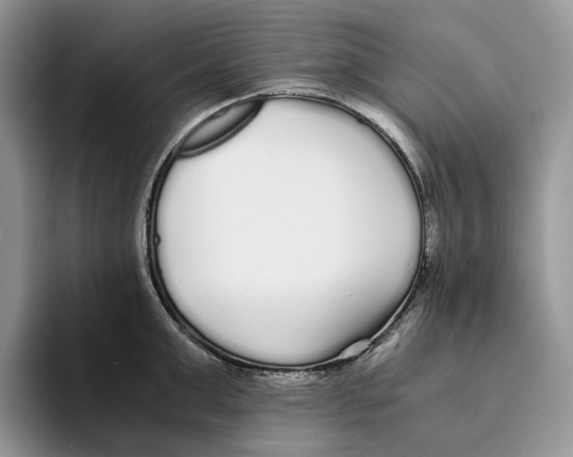 X0000093530999200711091754