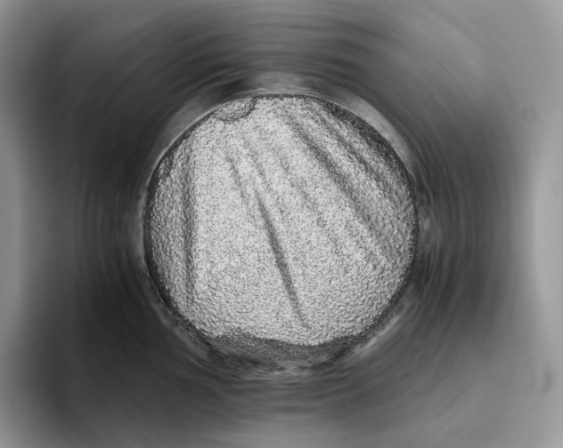 X0000093531002200711091754