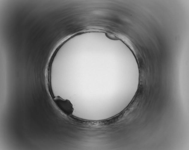 X0000093531003200711091754