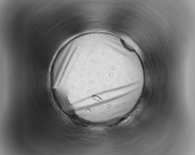 X0000093531004200711091754