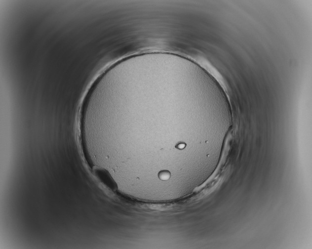 X0000093531005200711091754